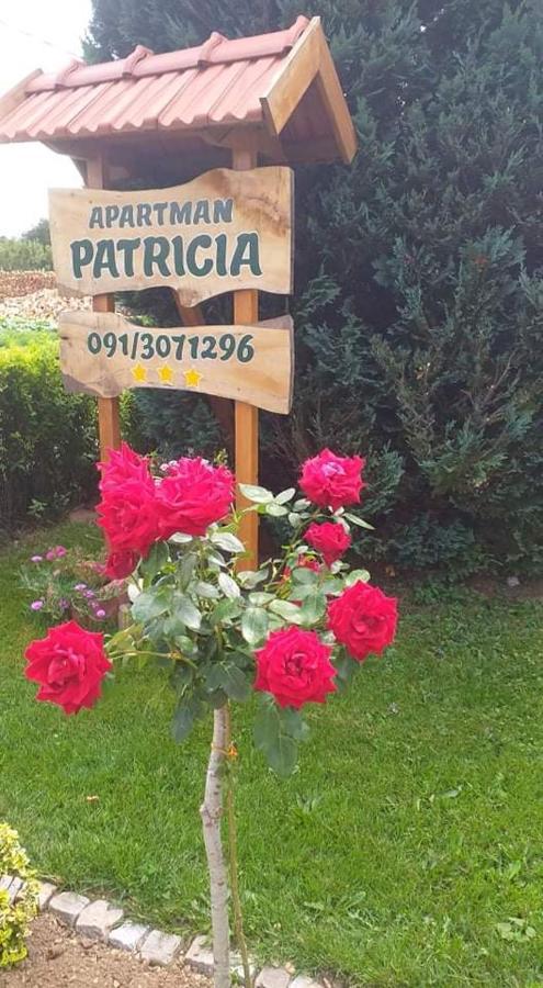 דירות פוז'ינה Apartman Patricia מראה חיצוני תמונה